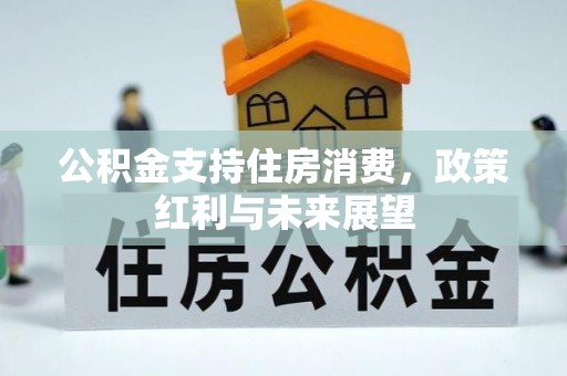 通川公积金支持住房消费，政策红利与未来展望