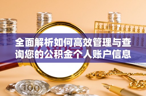 通川全面解析如何高效管理与查询您的公积金个人账户信息